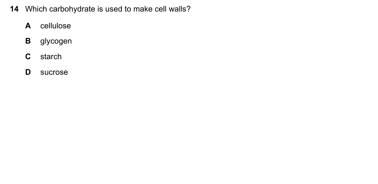 Question 14, November 2024, 0610 Paper 12