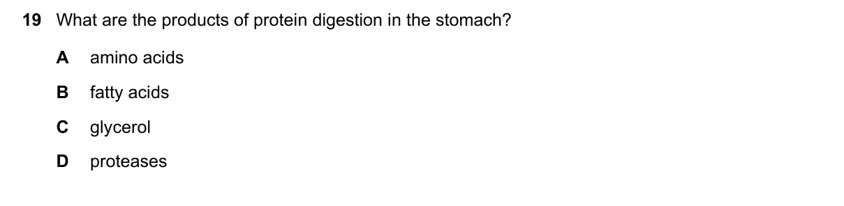 Question 19, November 2024, 0610 Paper 12