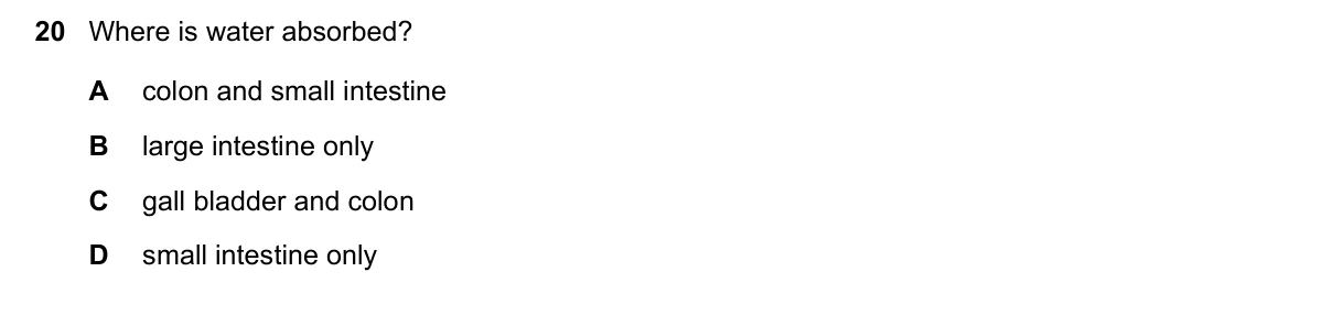 Question 20, November 2024, 0610 Paper 12