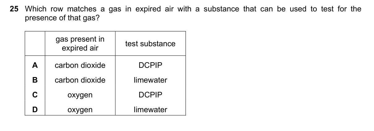 Question 25, November 2024, 0610 Paper 12