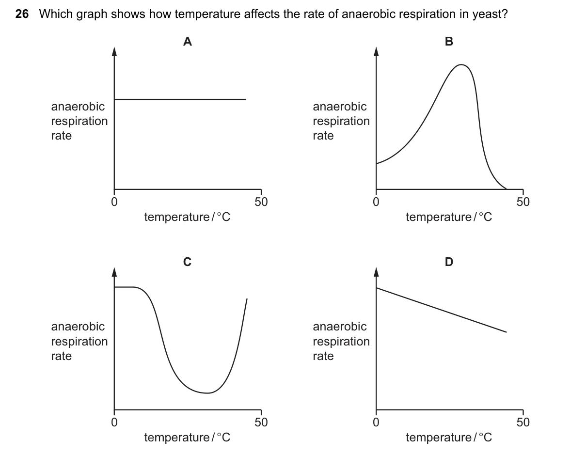 Question 26, November 2024, 0610 Paper 12