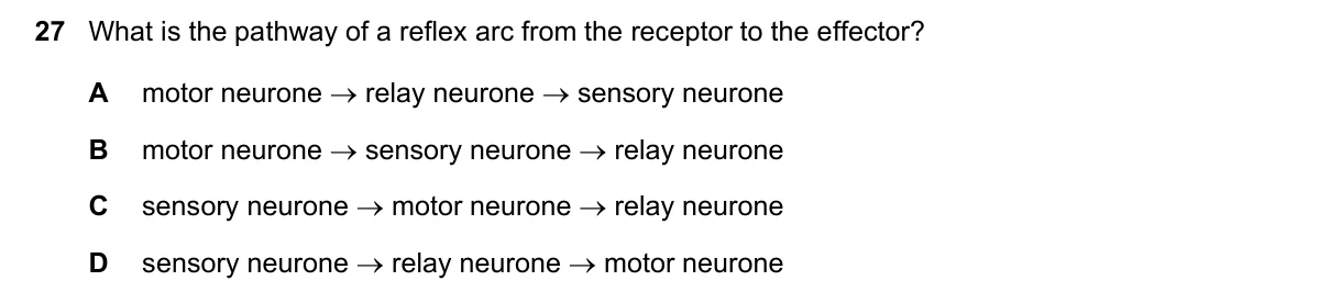 Question 27, November 2024, 0610 Paper 12