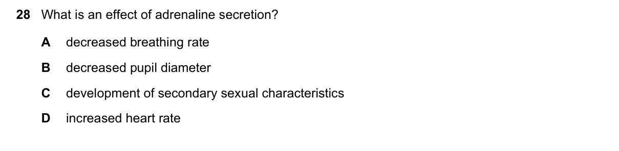 Question 28, November 2024, 0610 Paper 12