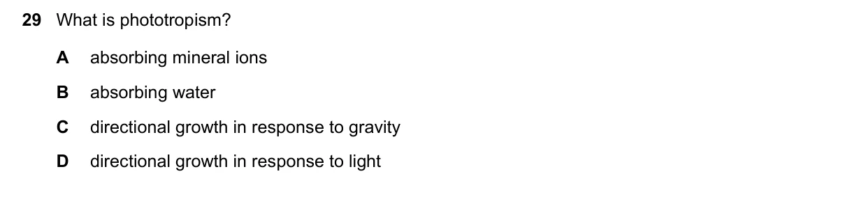 Question 29, November 2024, 0610 Paper 12