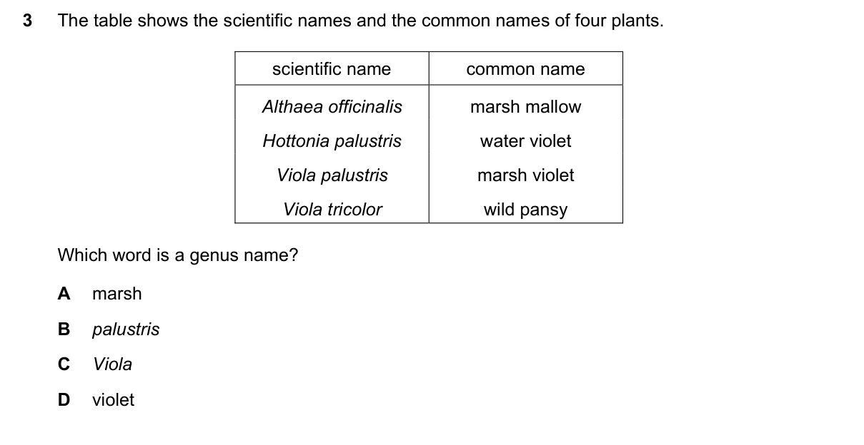 Question 3, November 2024, 0610 Paper 12