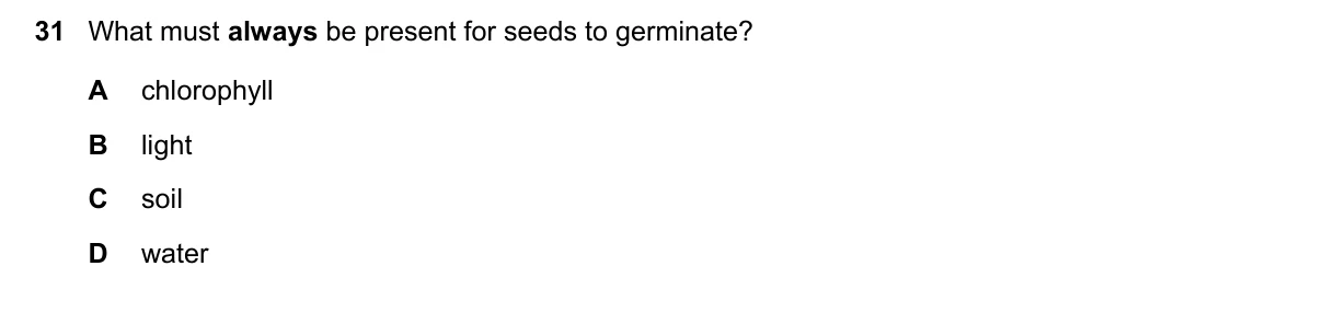 Question 31, November 2024, 0610 Paper 12