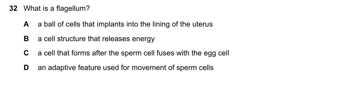 Question 32, November 2024, 0610 Paper 12