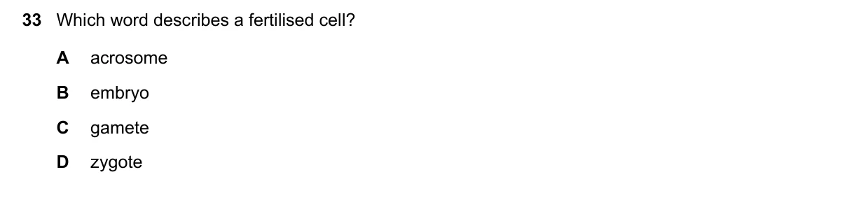 Question 33, November 2024, 0610 Paper 12