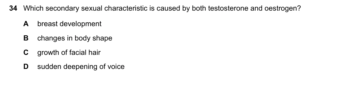 Question 34, November 2024, 0610 Paper 12