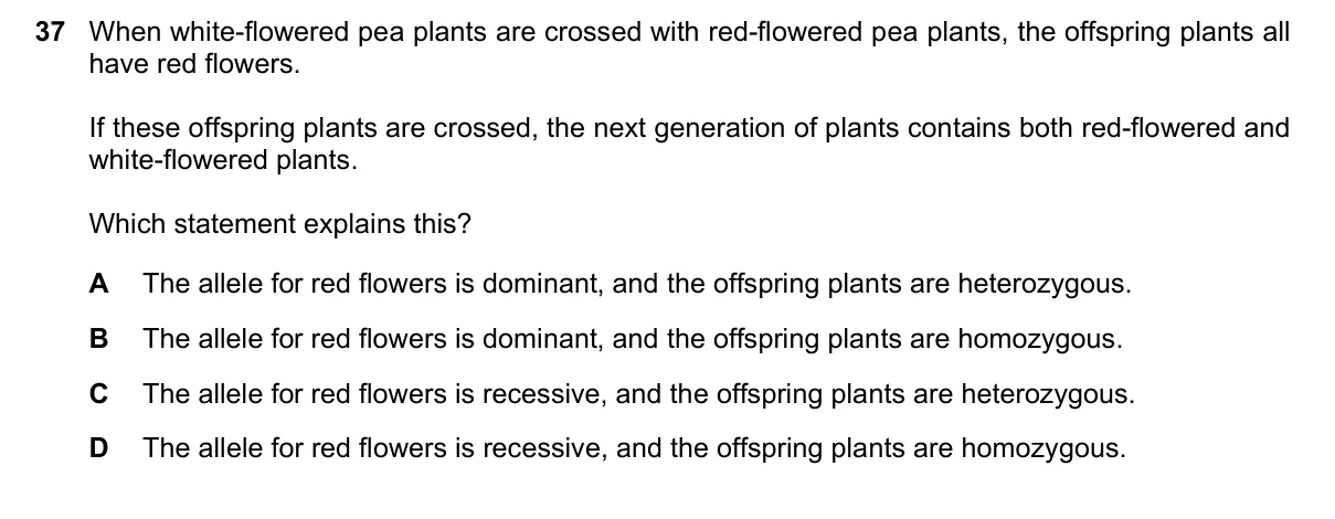 Question 37, November 2024, 0610 Paper 12