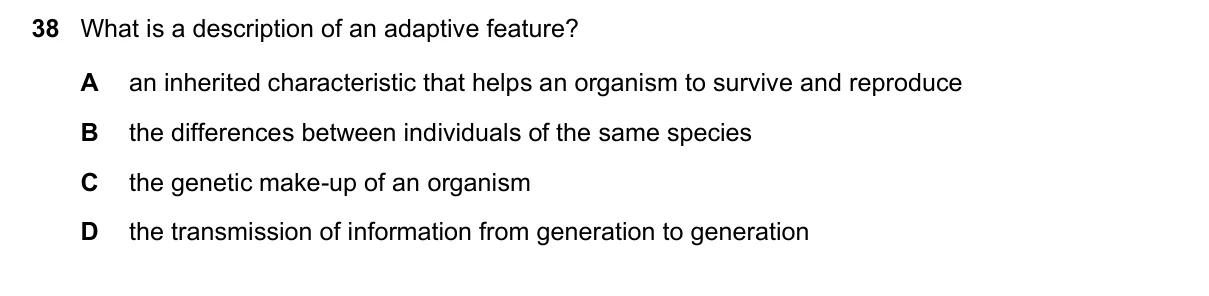 Question 38, November 2024, 0610 Paper 12