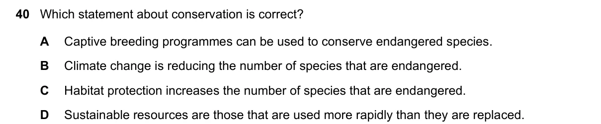 Question 40, November 2024, 0610 Paper 12