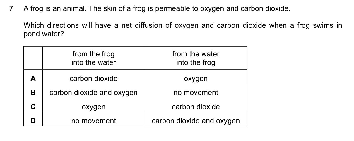 Question 7, November 2024, 0610 Paper 12