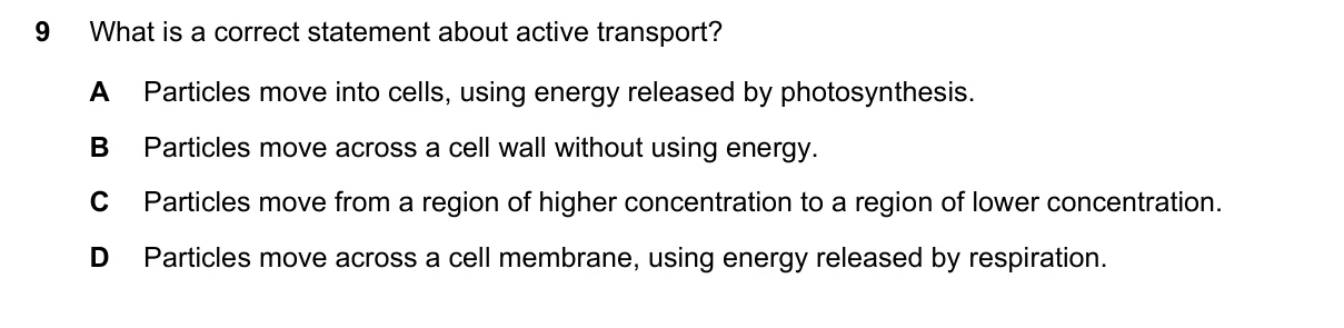 Question 9, November 2024, 0610 Paper 12