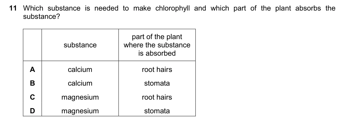 Question 11, November 2024, 0610 Paper 22