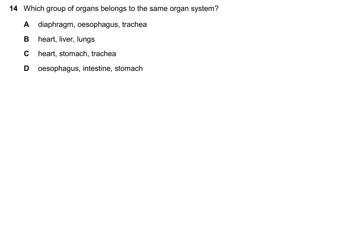 Question 14, November 2024, 0610 Paper 22