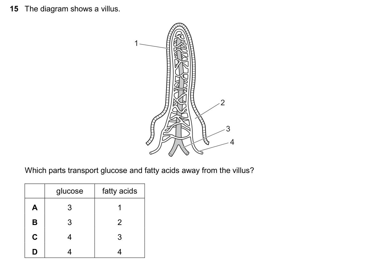 Question 15, November 2024, 0610 Paper 22
