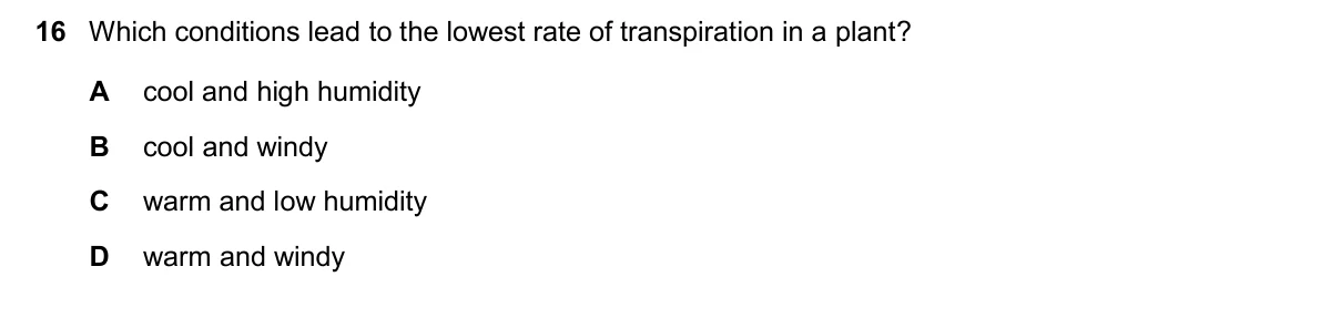 Question 16, November 2024, 0610 Paper 22