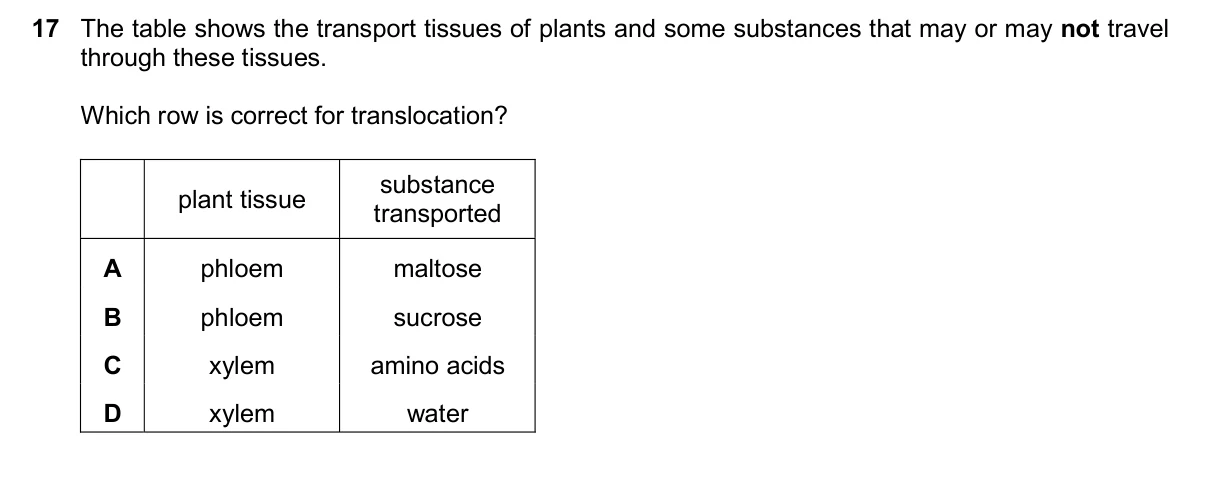 Question 17, November 2024, 0610 Paper 22