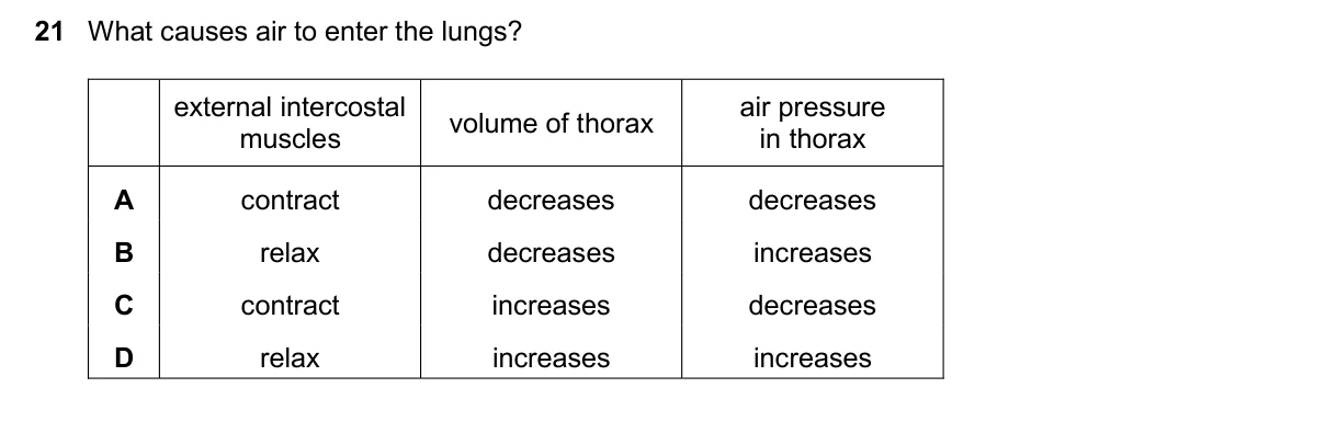 Question 21, November 2024, 0610 Paper 22
