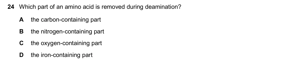 Question 24, November 2024, 0610 Paper 22