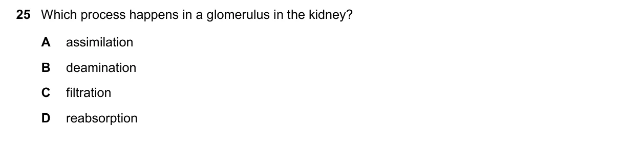 Question 25, November 2024, 0610 Paper 22