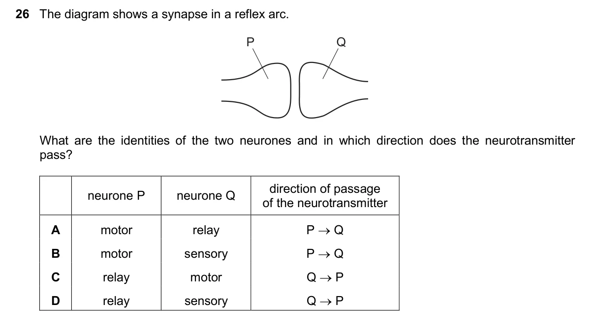 Question 26, November 2024, 0610 Paper 22