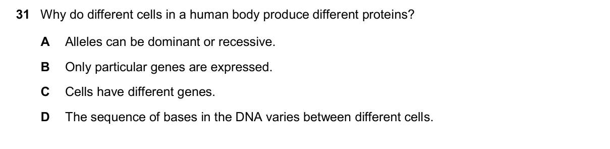 Question 31, November 2024, 0610 Paper 22