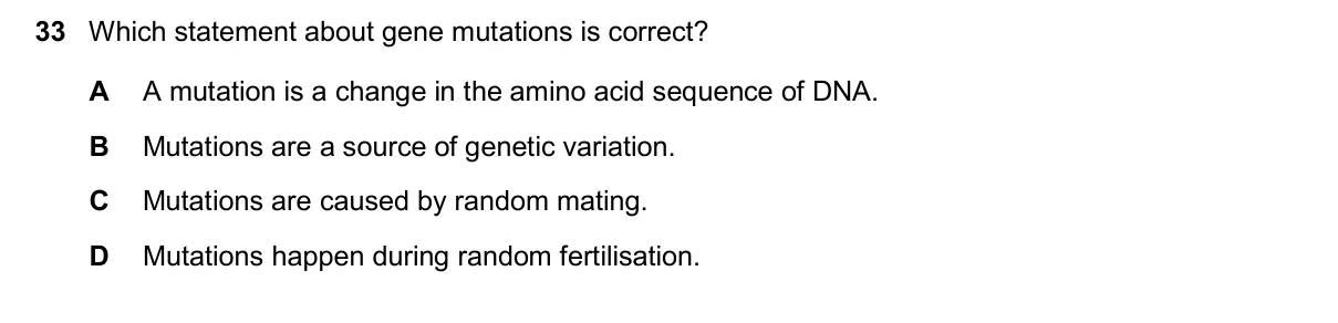 Question 33, November 2024, 0610 Paper 22