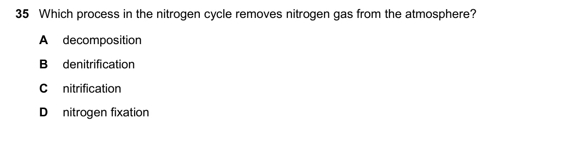 Question 35, November 2024, 0610 Paper 22