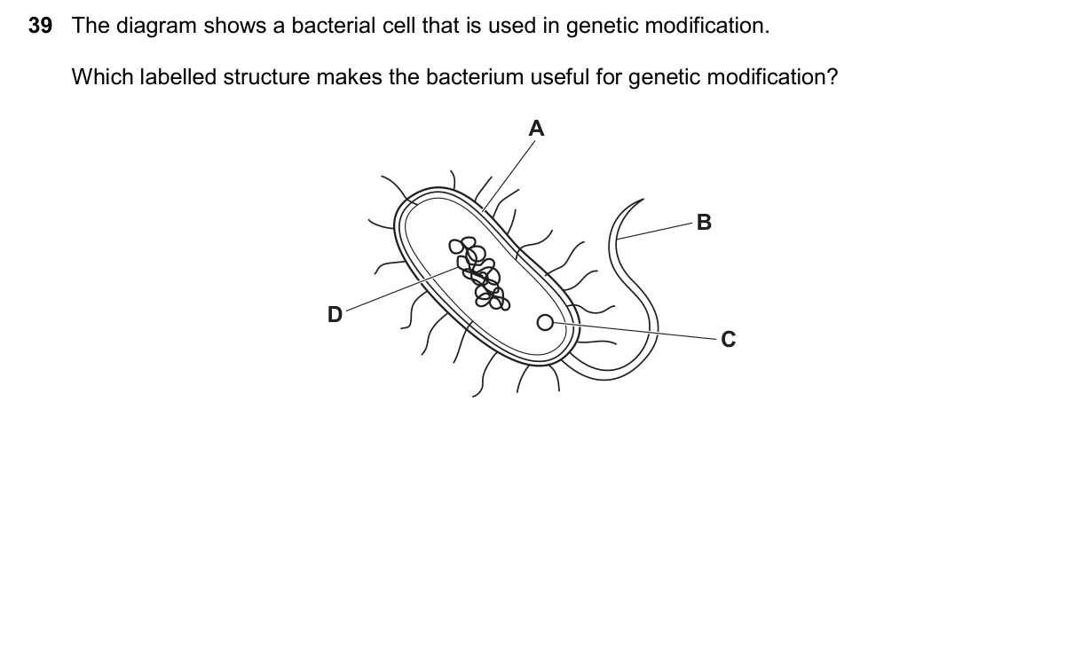 Question 39, November 2024, 0610 Paper 22