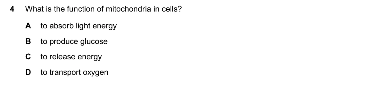 Question 4, November 2024, 0610 Paper 22