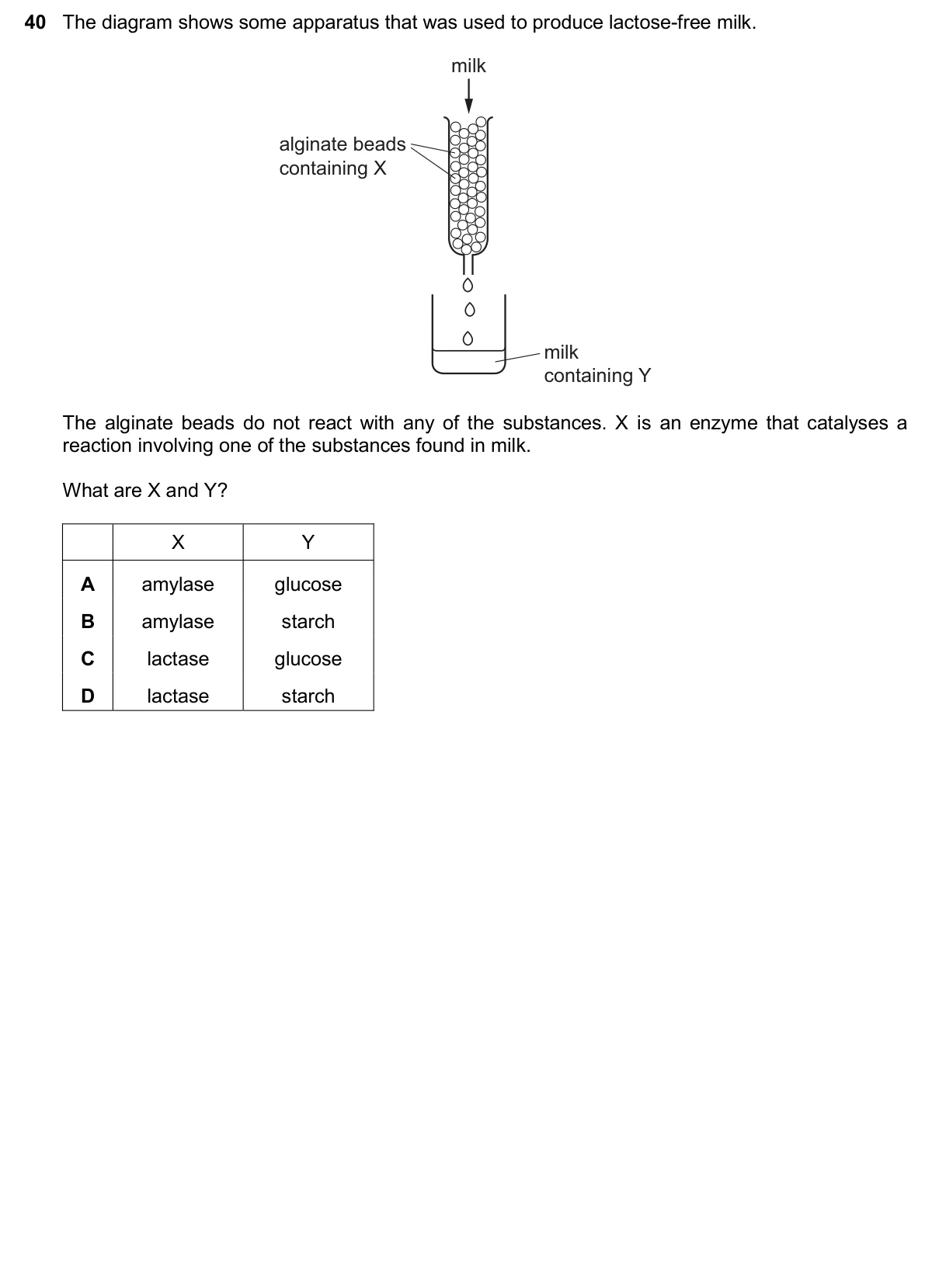 Question 40, November 2024, 0610 Paper 22