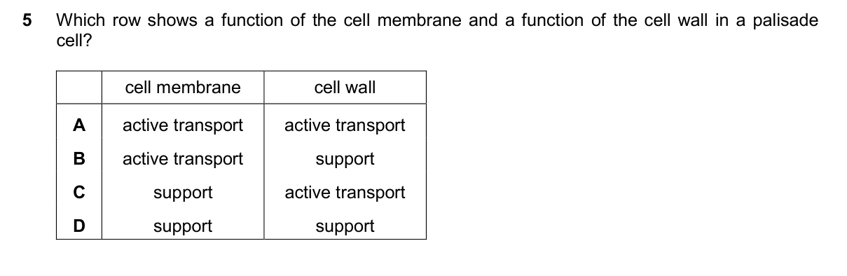 Question 5, November 2024, 0610 Paper 22