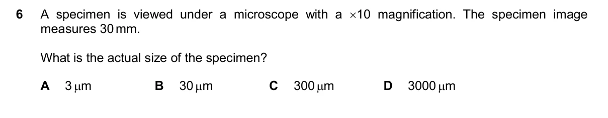 Question 6, November 2024, 0610 Paper 22
