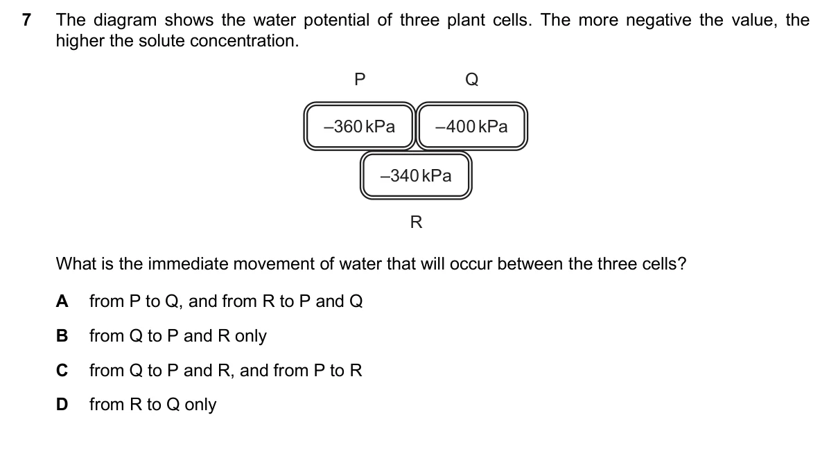 Question 7, November 2024, 0610 Paper 22