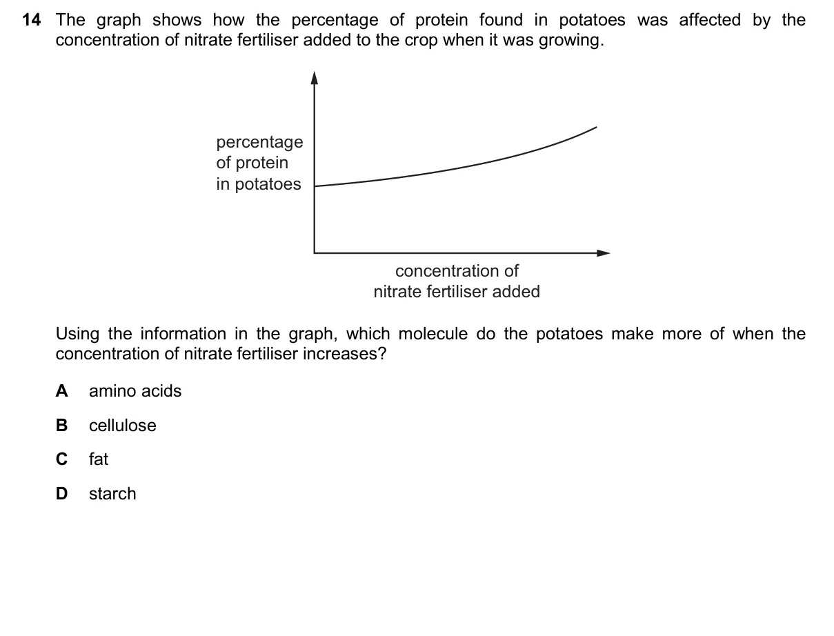 Question 14, November 2024, 0610 Paper 13