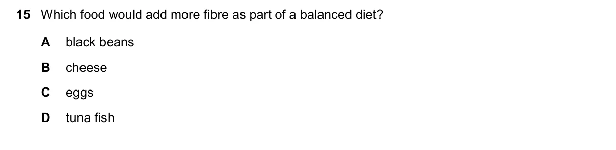 Question 15, November 2024, 0610 Paper 13