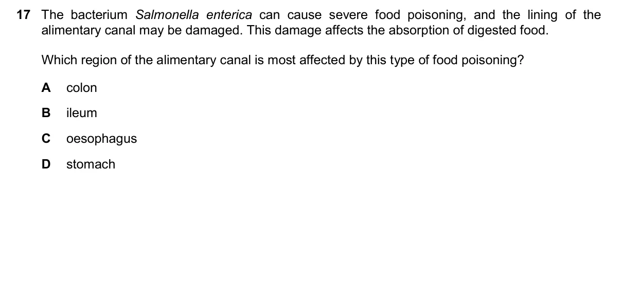 Question 17, November 2024, 0610 Paper 13