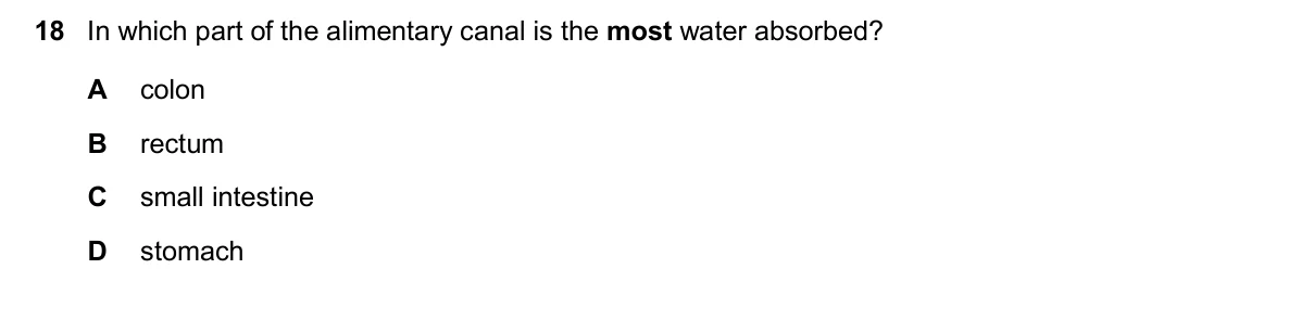 Question 18, November 2024, 0610 Paper 13