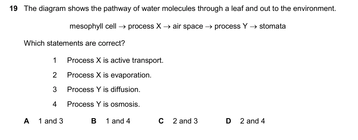 Question 19, November 2024, 0610 Paper 13