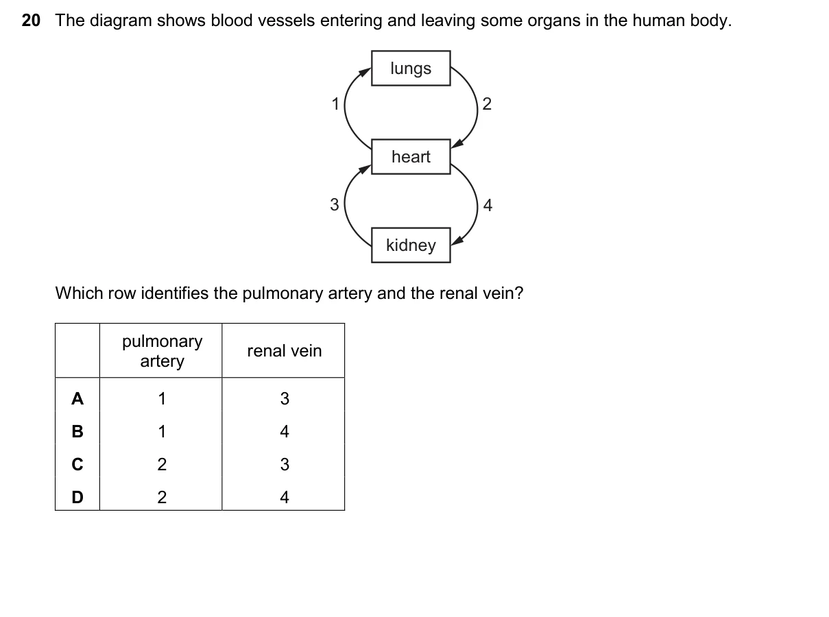 Question 20, November 2024, 0610 Paper 13
