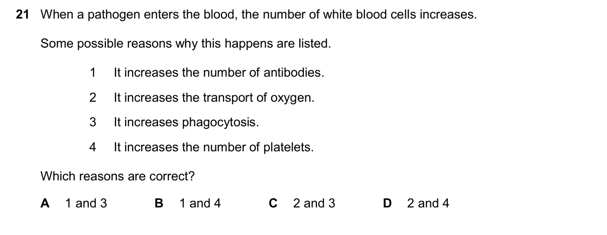 Question 21, November 2024, 0610 Paper 13