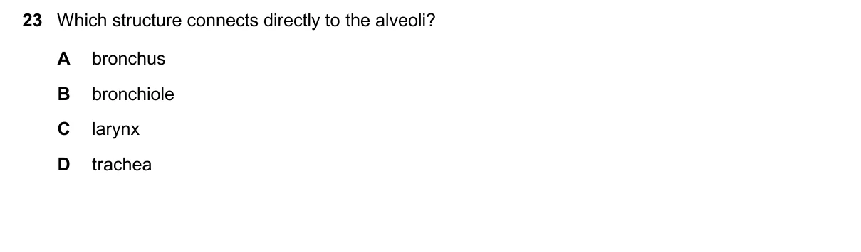 Question 23, November 2024, 0610 Paper 13