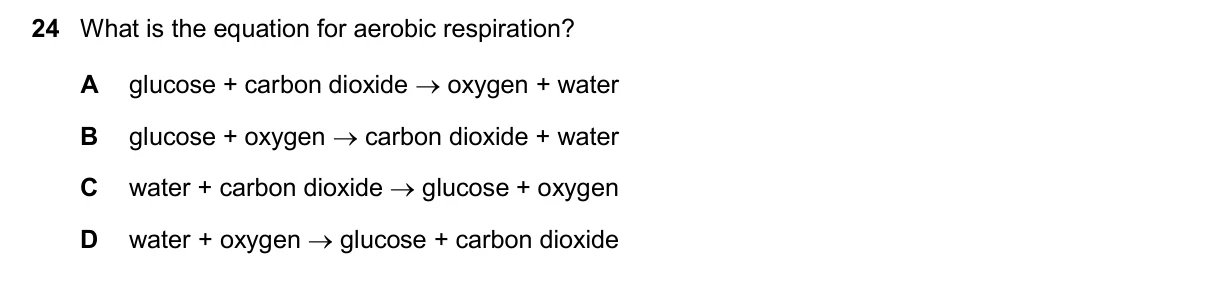 Question 24, November 2024, 0610 Paper 13