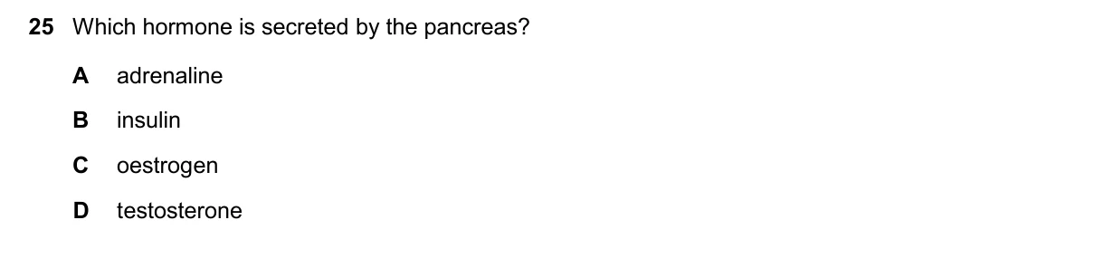 Question 25, November 2024, 0610 Paper 13