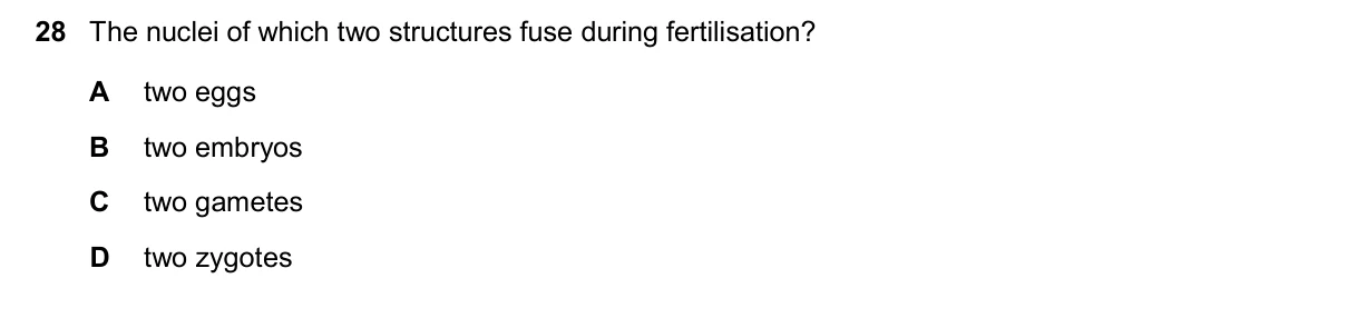 Question 28, November 2024, 0610 Paper 13