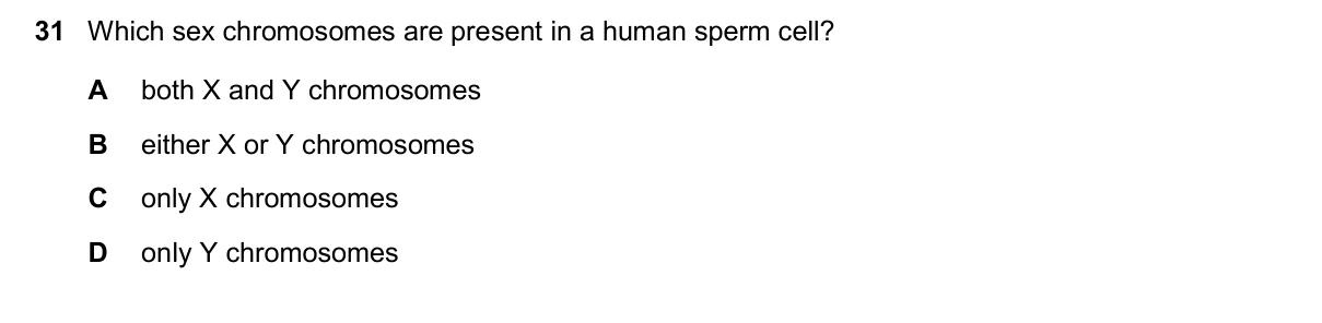 Question 31, November 2024, 0610 Paper 13