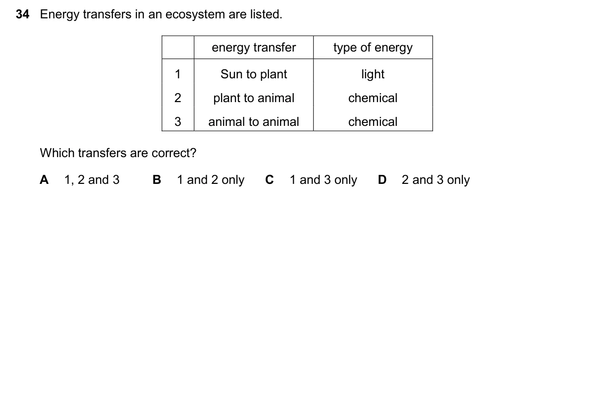 Question 34, November 2024, 0610 Paper 13