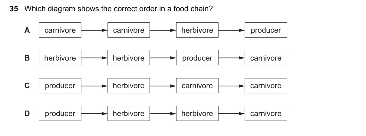 Question 35, November 2024, 0610 Paper 13